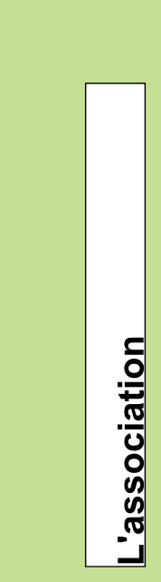 wp21574845.png